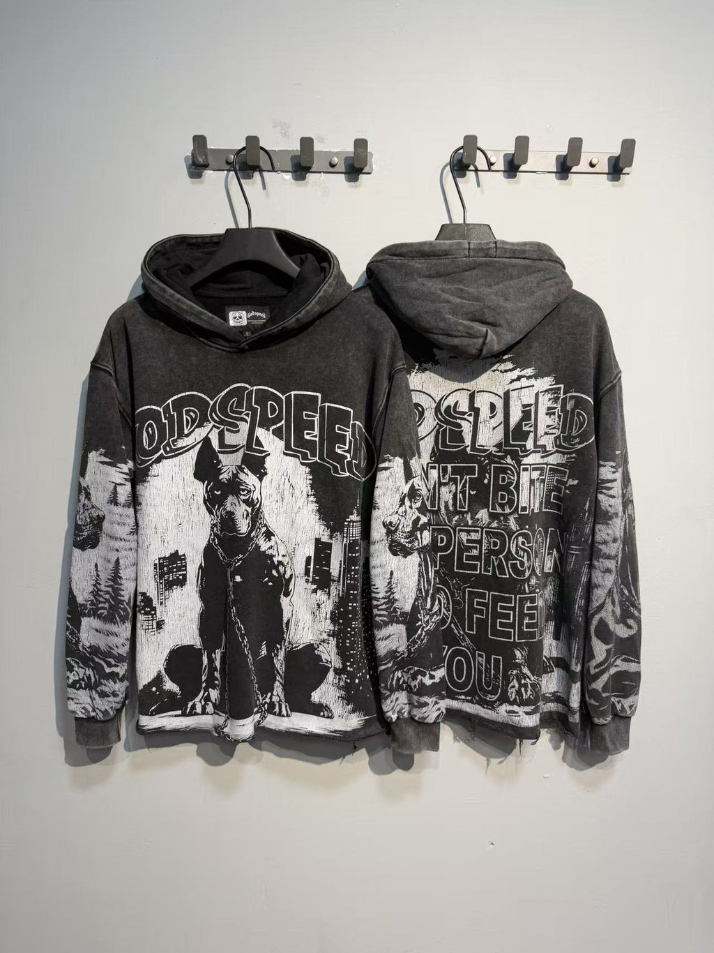 Godspeed Dog & City Graphic Raw-Hem Hoodie — context