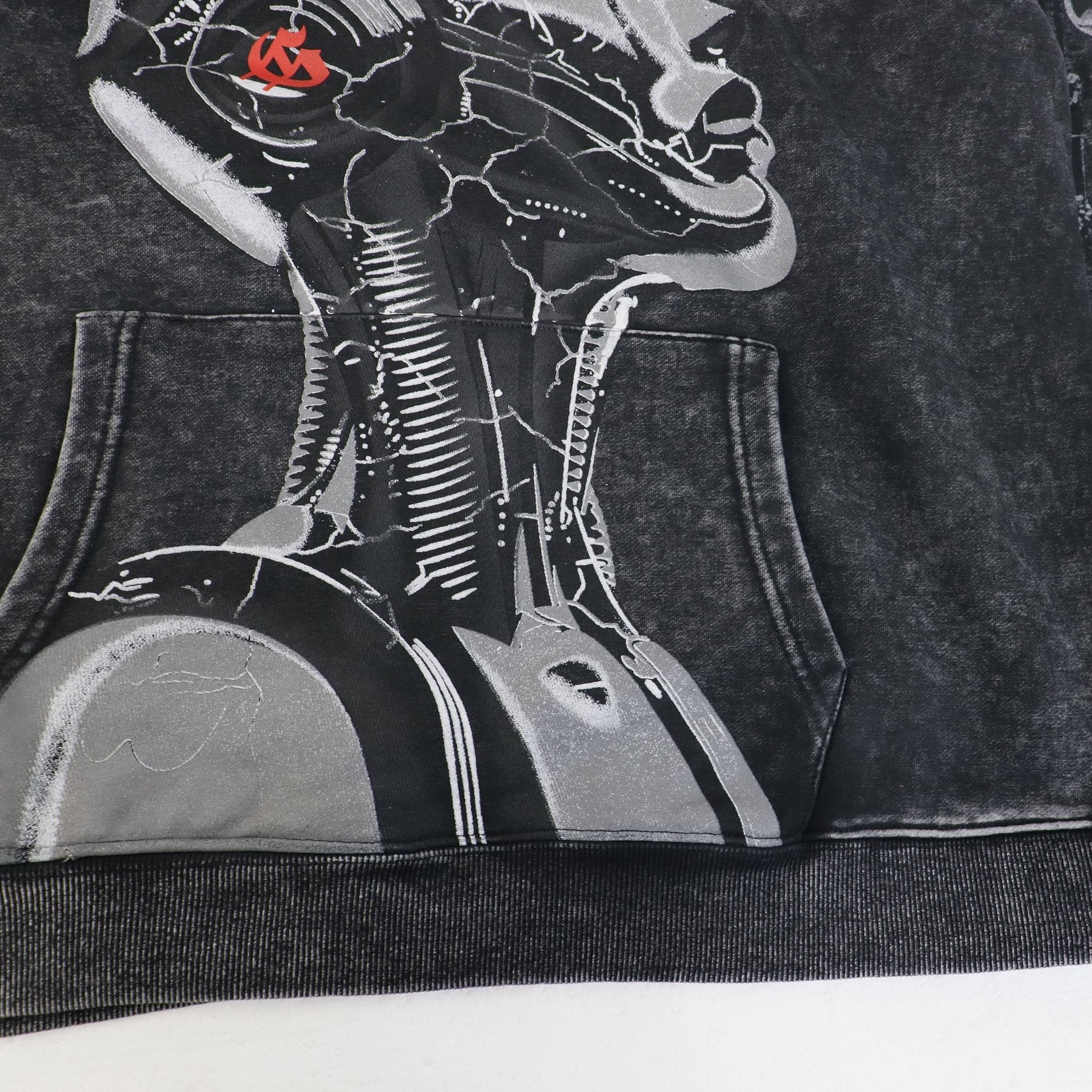 Godspeed Out of Many One Graphic Hoodie — detail