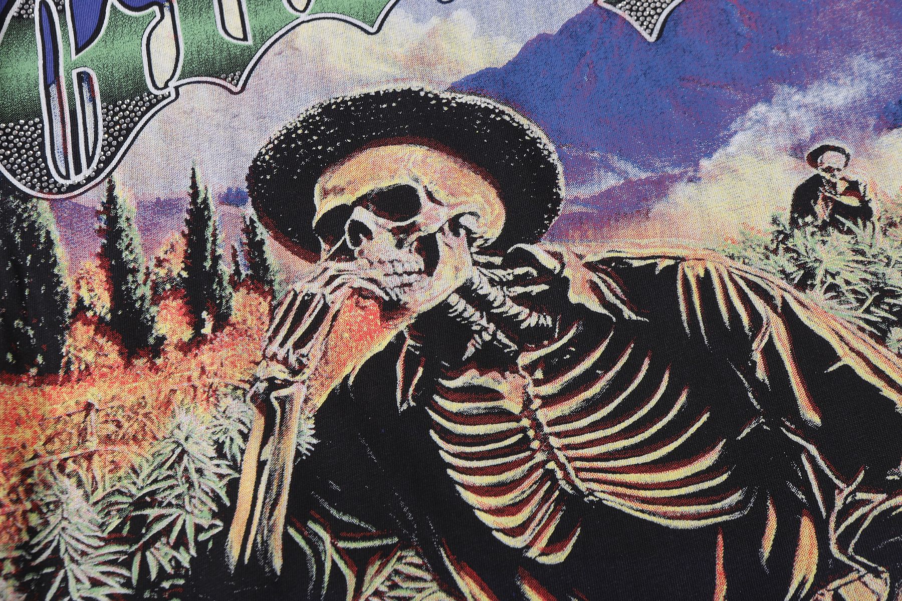 Godspeed Skeleton Landscape Graphic T-Shirt — detail