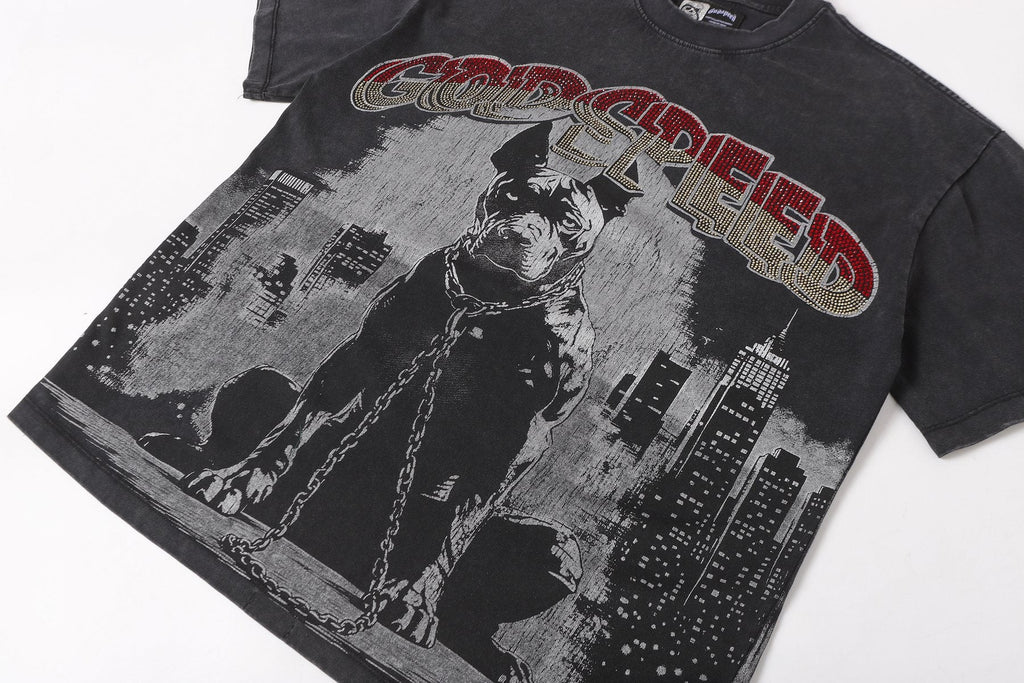 Godspeed Dog Graphic Distressed Sleeve T-Shirt — detail