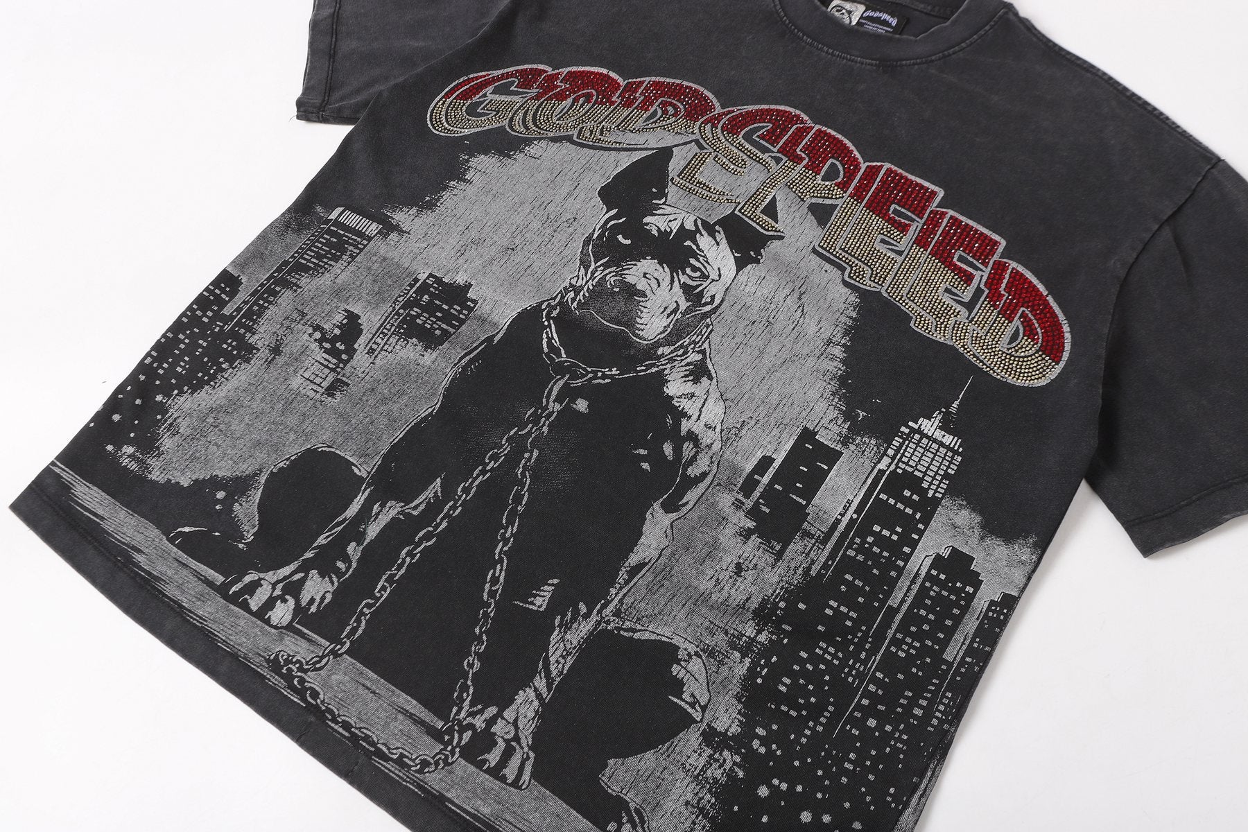 Godspeed Dog Graphic Distressed Sleeve T-Shirt — detail