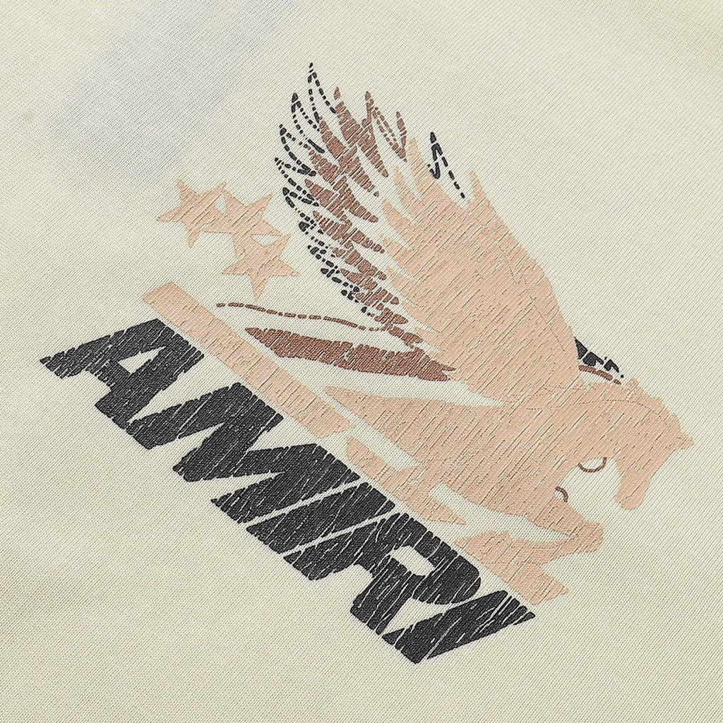 AMIRI Eagle Graphic Short-Sleeve T-Shirt — detail