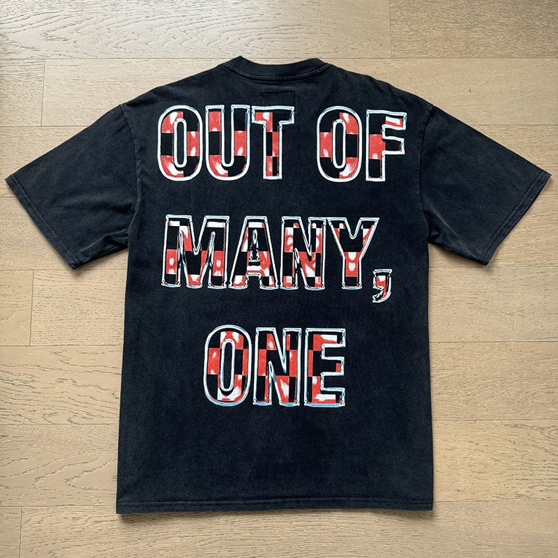 Godspeed Out of Many One Washed Graphic T-Shirt — back