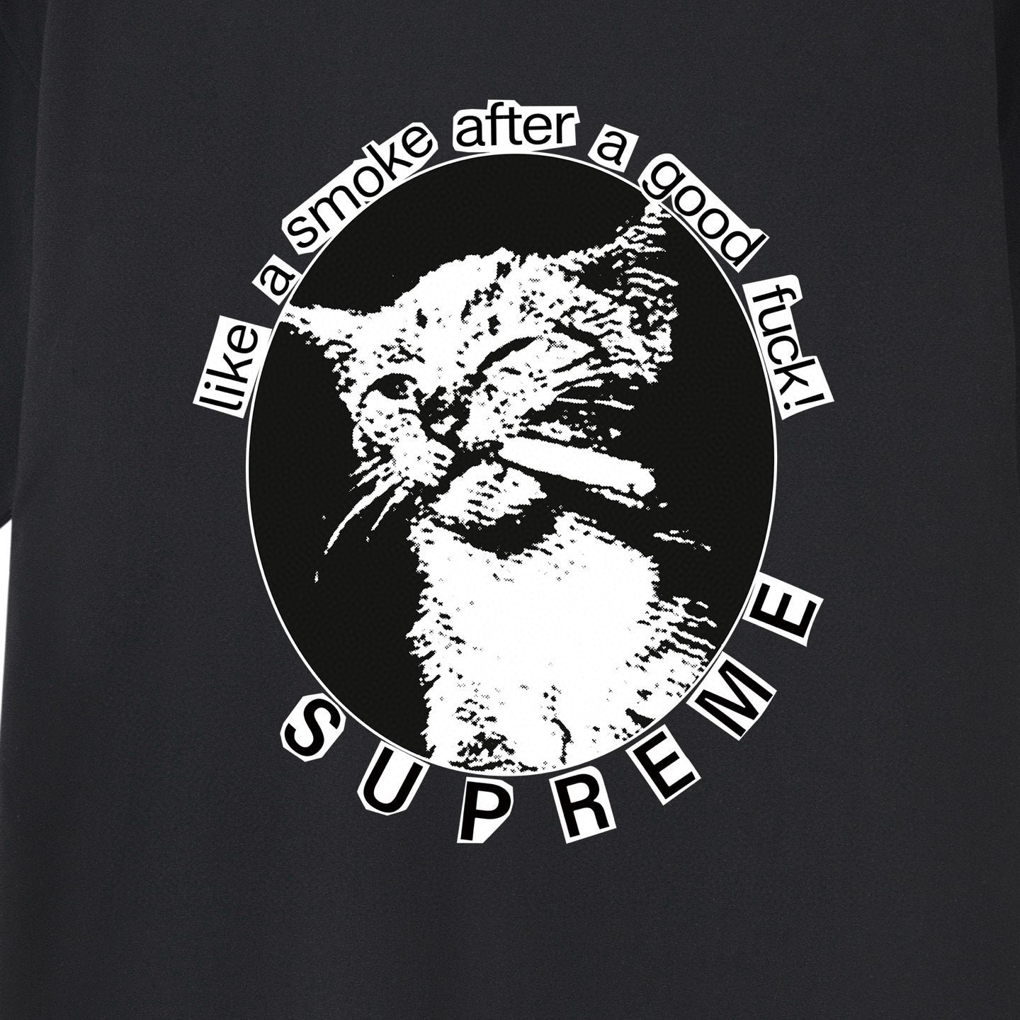 Supreme Cat Smoke Graphic T-Shirt — detail