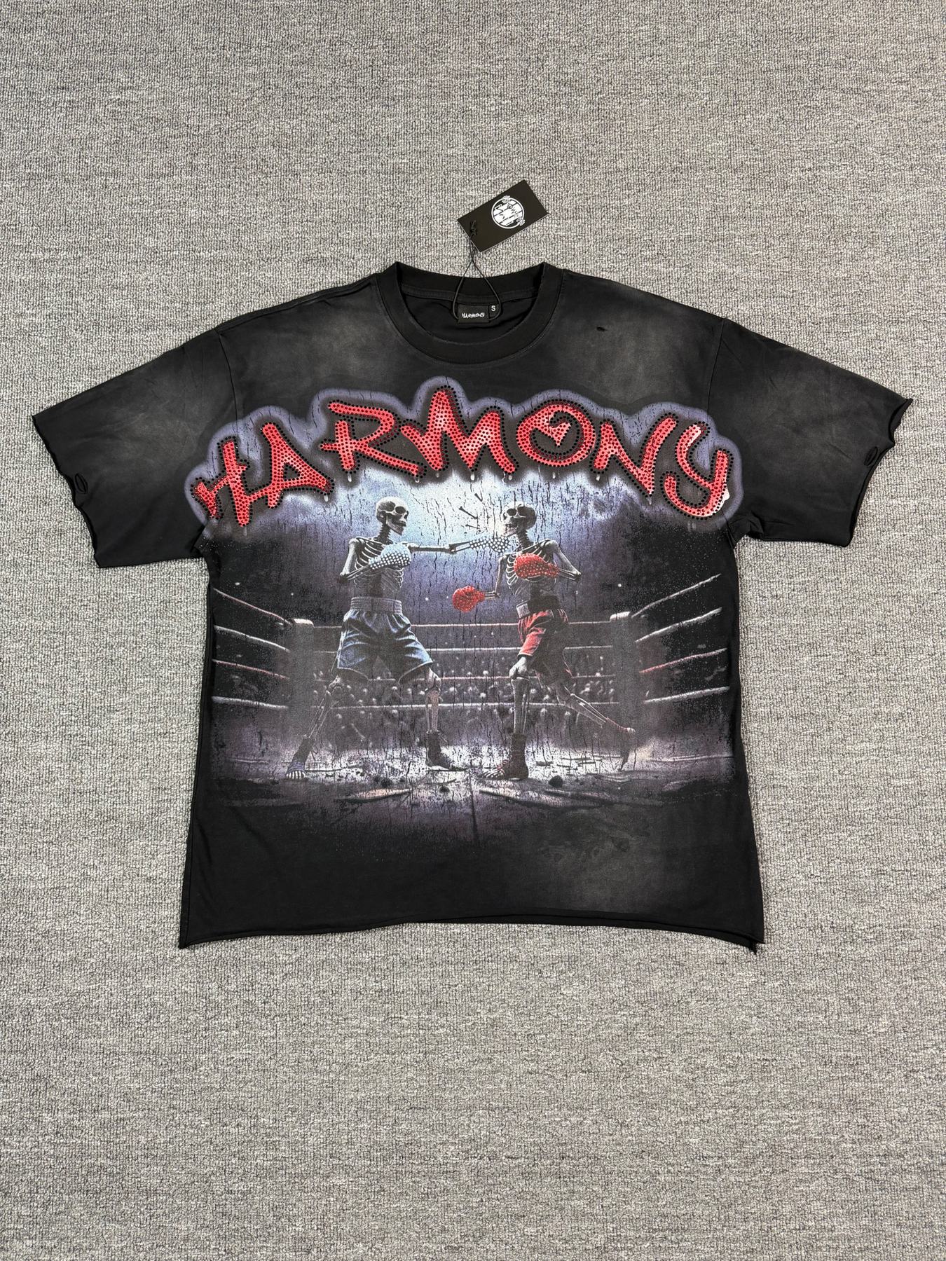 HARMONY New Age Boxing Graphic T-Shirt — front