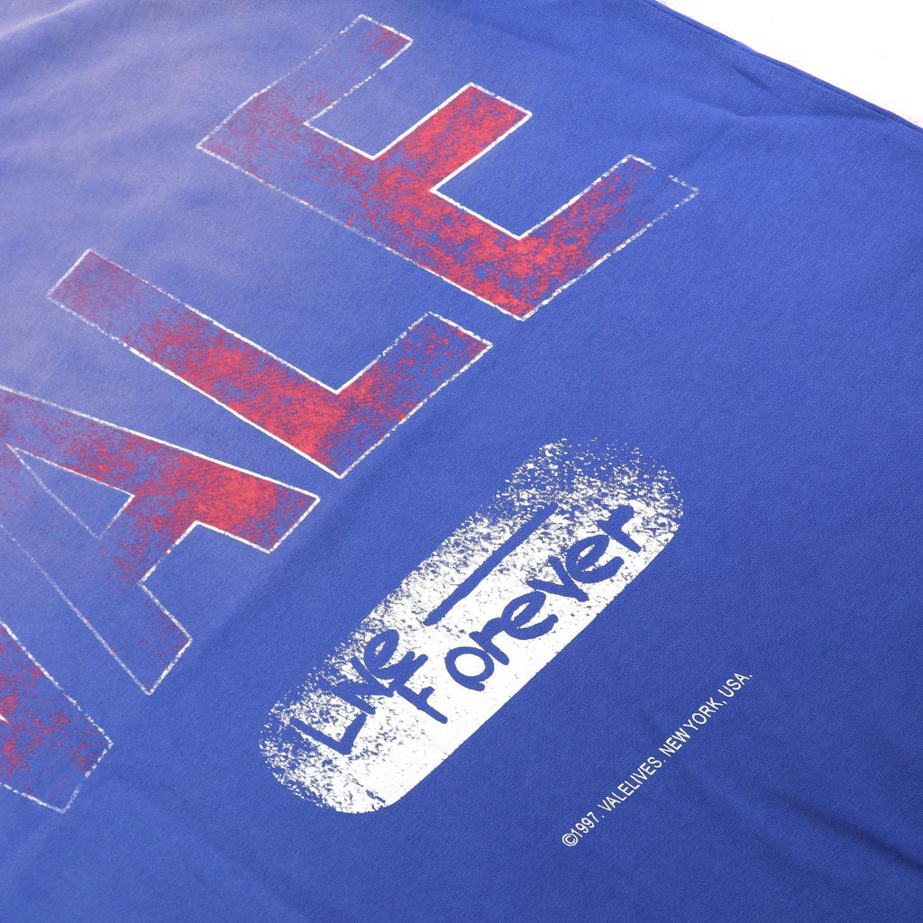 Valley Dreams Live Forever Distressed Graphic T-Shirt — detail