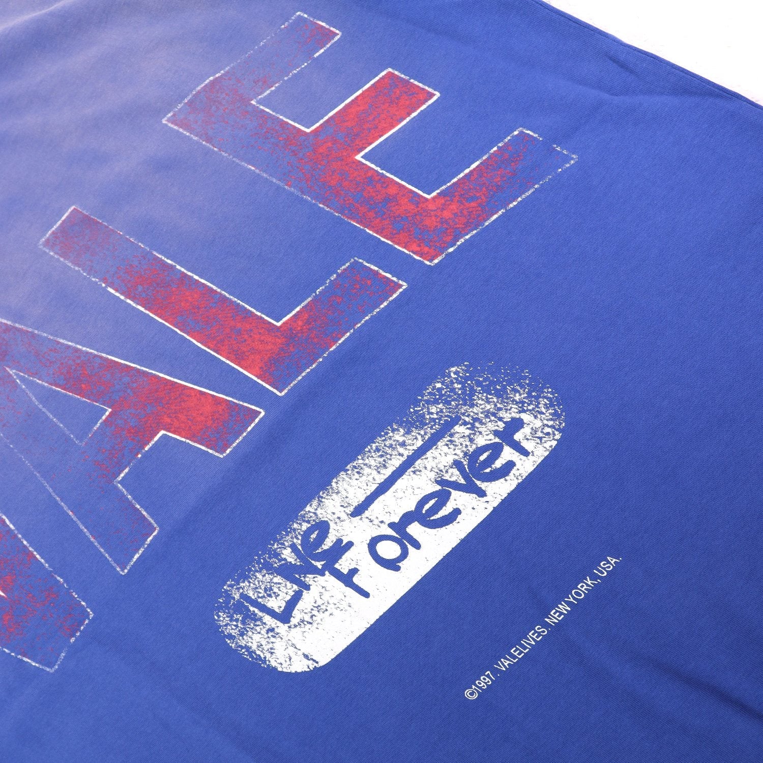 Valley Dreams Live Forever Distressed Graphic T-Shirt — detail