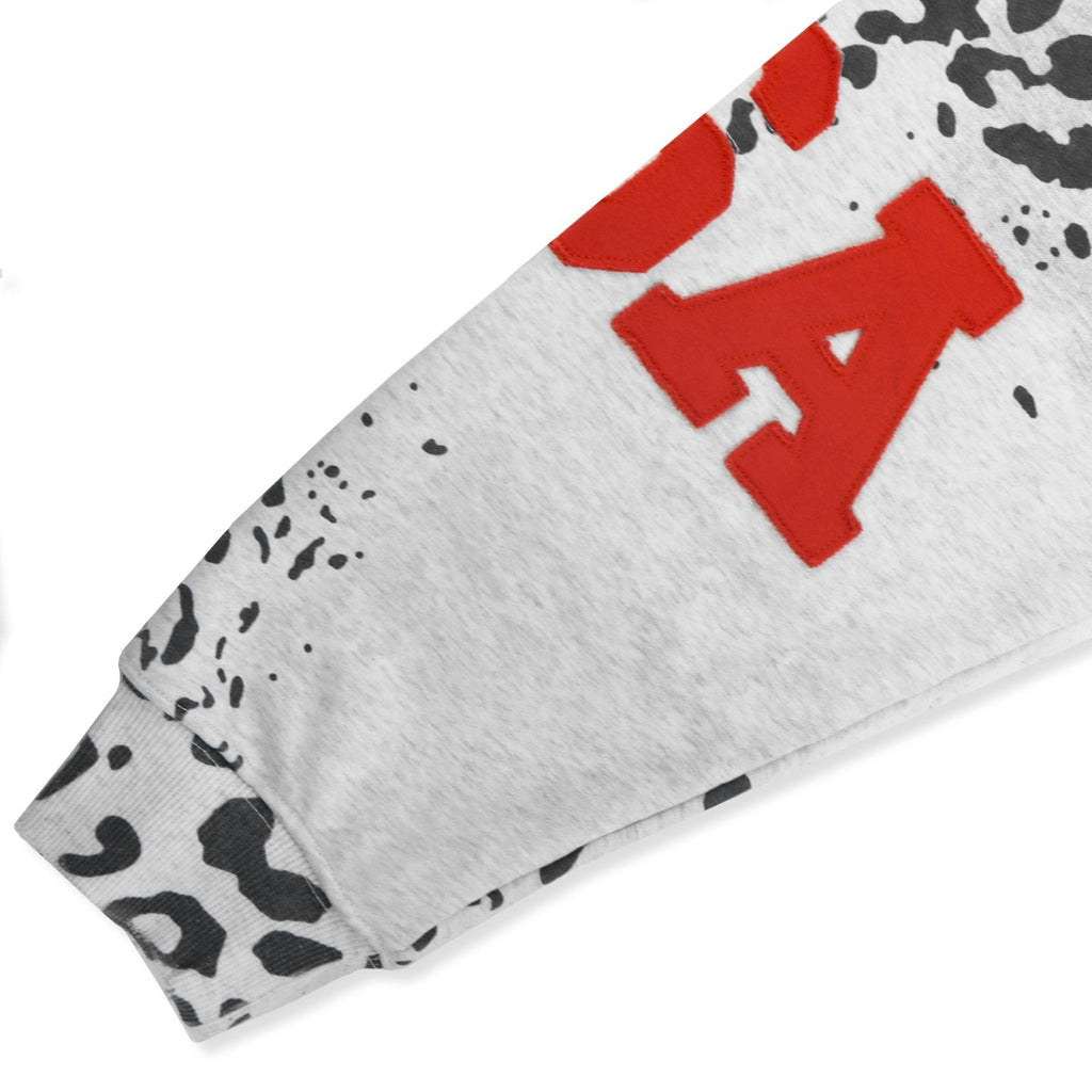 Valley Dreams Forever Leopard Panel Zip Hoodie — detail