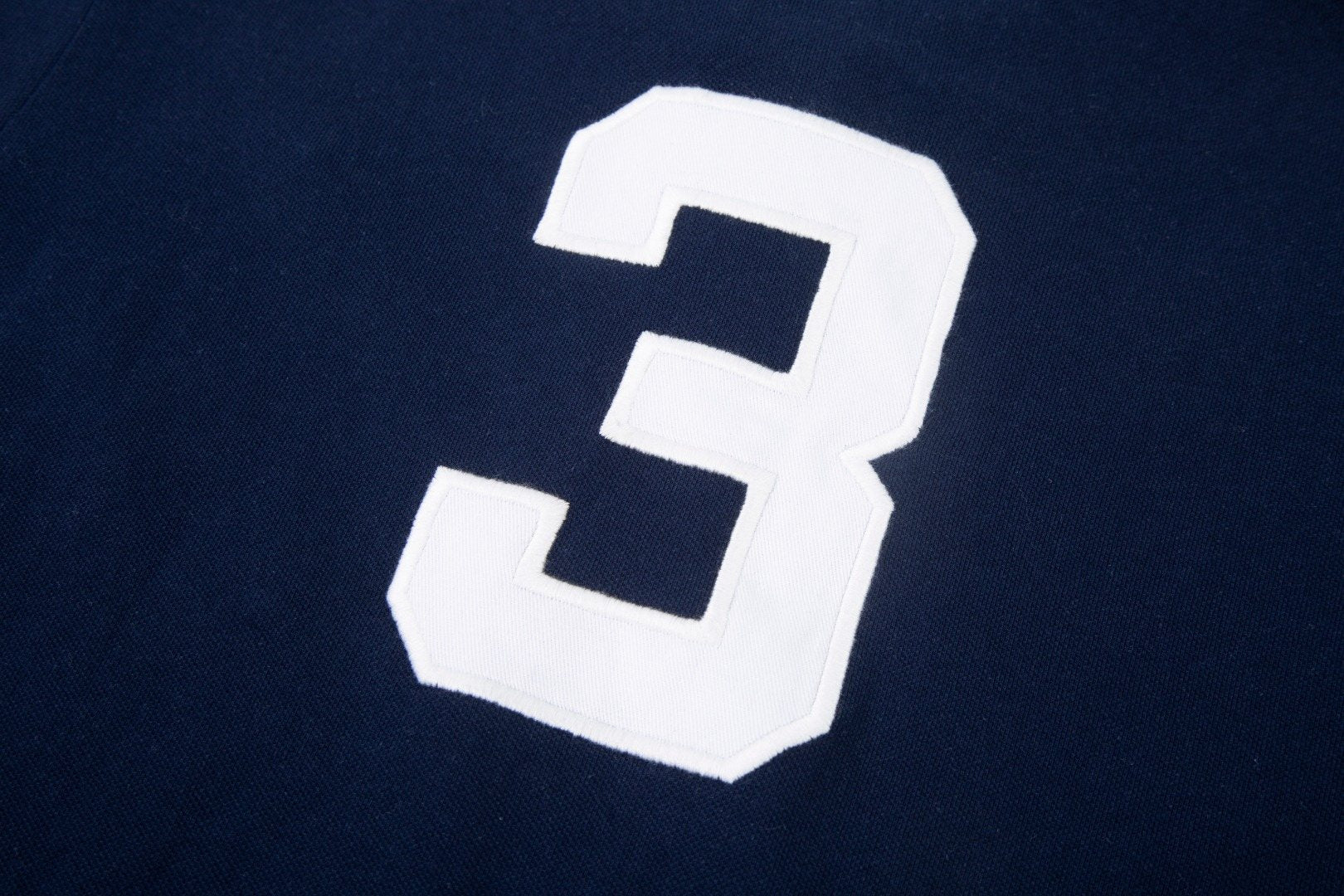 Test2-Ralph Lauren Los Angeles Graphic Polo Shirt — detail